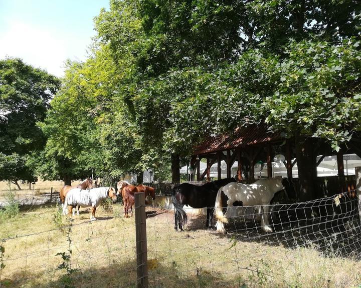 Hotel Bremerhof Biergarten